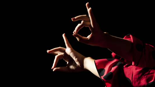 Espectacle de flamentc: 'Renacer'