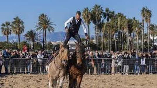 Espectacle hípic amb Luís Sanahuja