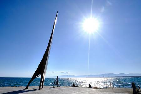 Excursió pel Cap de Salou – Seguiment d’Aus Marines (SAM)
