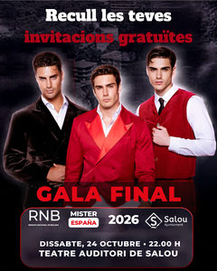 Gala final Mister RNB España