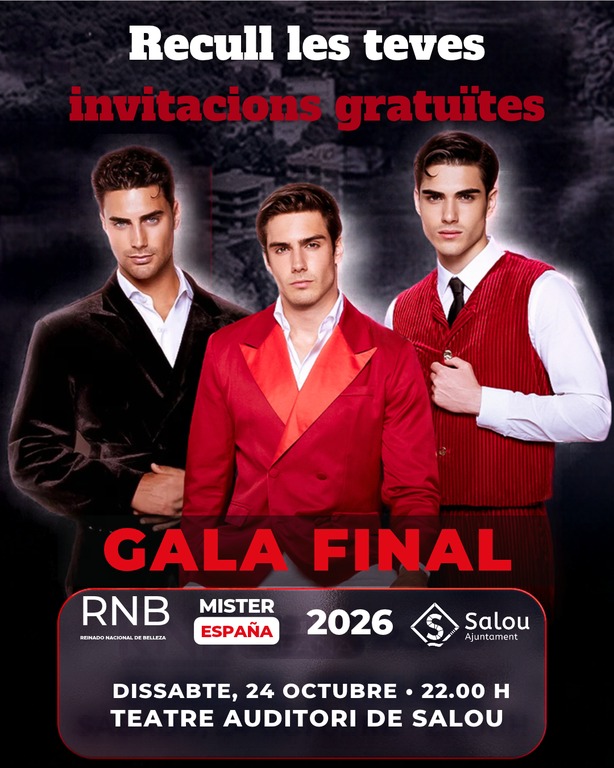 Gala final Mister RNB España
