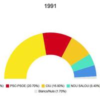 Eleccions municipals 1991