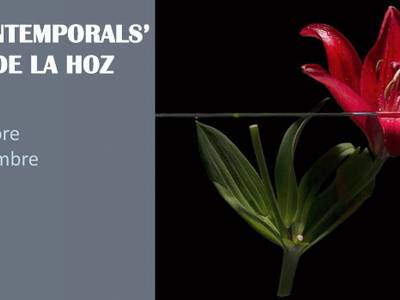 La Torre Vella acull l’exposició “Natures Intemporals” de l’autora Gràcia de la Hoz
