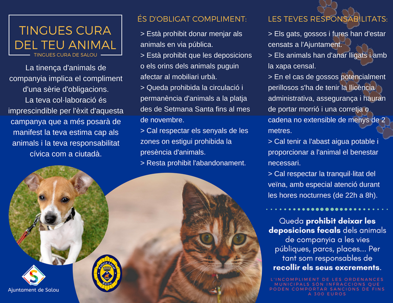 CAMPANYA ANIMALS CAT.png