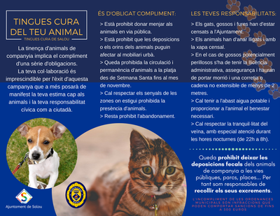 CAMPANYA_ANIMALS_CAT.png