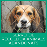 Servei de recollida animals abandonats