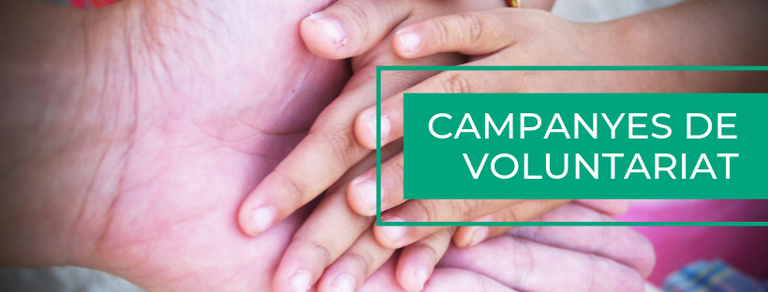 campanyes de voluntariat