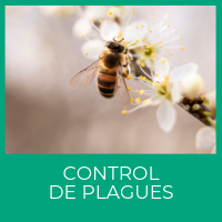 Control de plagues