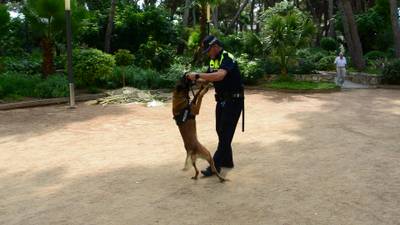 Unitat Canina Policia Local 3.JPG