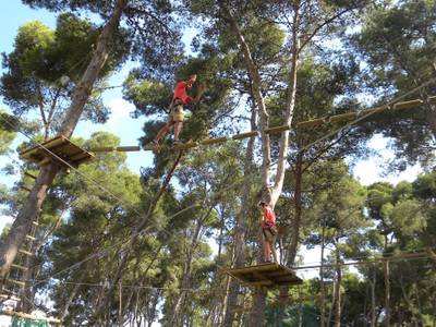 Bosc Aventura obra les seves portes a Salou