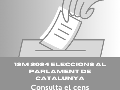 Consulta de les llistes del cens electoral