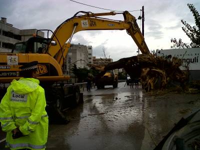 Els serveis de neteja de Salou retiren un arbre entravessat al  barranc de Barenys