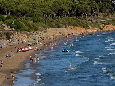 Feliciten a l’Ajuntament de Salou per l’estat i serveis de les platges de Llevant i Capellans