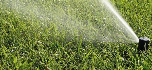 L’Ajuntament de Salou difon un ban per informar la població sobre les mesures obligatòries i la restricció d’aigua en els usos urbans