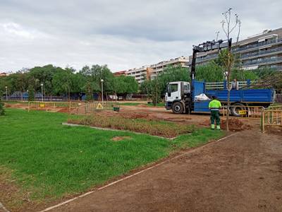 L’Ajuntament de Salou fa una replantació d’espècies al parc Manel Albinyana per naturalitzar i embellir estèticament la zona