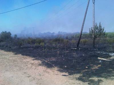La colaboración ciudadana y la rápida actuación de la Policia Local ha permitido la identificación y detención de la persona que provocó el incendio de ayer, en la zona de Emprius de Salou.