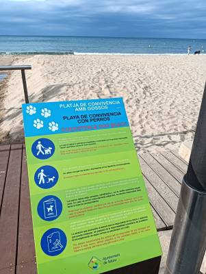 La platja de Ponent de Salou tindrà una zona d'accés als gossos, a partir de l'1 de juny