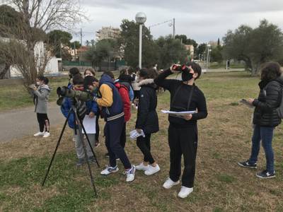 L'Ajuntament de Salou promou l'activitat d'observació dels moixons per als estudiants del municipi