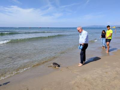 Maui torna al mar des de Salou després de dos mesos i mig de recuperació