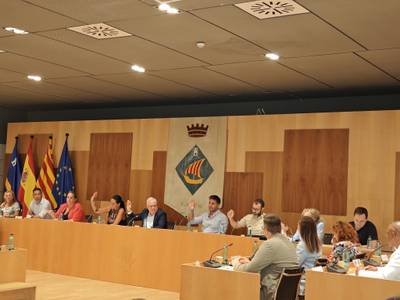 Mocions i acords aprovats, aquest dimecres, en sessió plenària