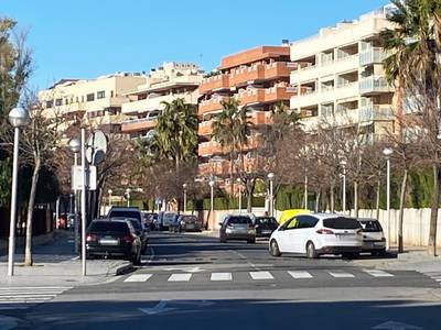 Salou amplia la mida dels escocells del carrer Tarragona, per poder plantar-hi grevíl·lees