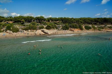 Salou celebrarà el Dia Mundial del Medi Ambient amb dues neteges a les platges del municipi, durant aquest cap de setmana