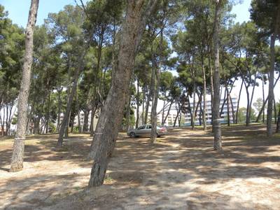 Salou comptarà amb un nou espai d’aventura i lleure al centre de la ciutat