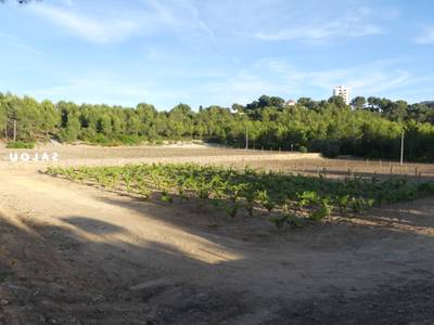 P3050477.JPG