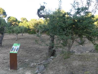 P3050480.JPG