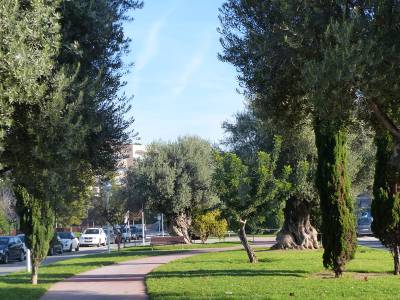 Salou reforça la gestió dels espais verds amb el nou contracte de jardineria