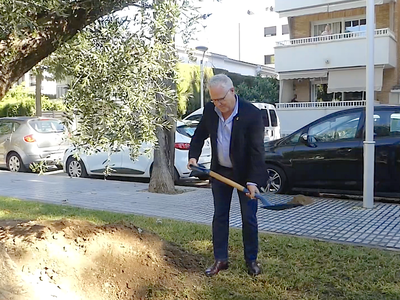 Una olivera uneix turisme i pau a Salou