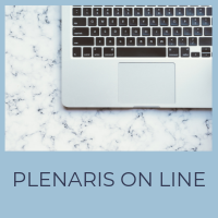 Plenaris on line