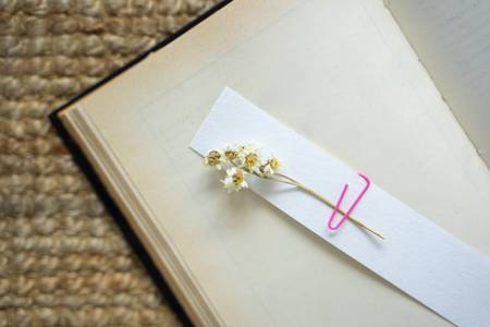 Crea tu punto de libro