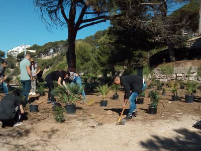 El Ayuntamiento de Salou repuebla el entorno natural de la Platja Llarga