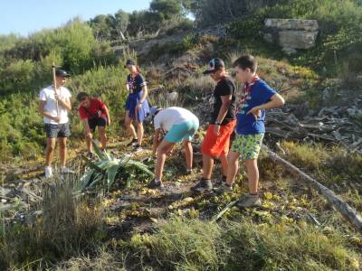 El Grupo Scout Águilas de Alicante limpia los espacios verdes públicos del Cap Salou de la planta invasora uña de gato