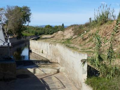 Comienza el desbroce y la eliminación de cañas del barranco de Barenys por su conservación y mantenimiento
