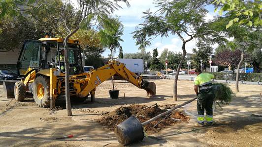 El Ayuntamiento de Salou reordena la zona verde entre la c/ del Arquitecte Ubach y el paseo 30 de Octubre reponiendo árboles y vegetación