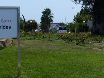 La capital de la Costa Daurada se incorpora a Viles Florides