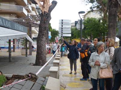 La tormenta en Salou deja sesenta puntos afectados y cerca de 200 árboles dañados