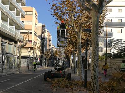 Salou inicia la campaña de la poda de más de 10.000 unidades vegetales de calle del municipio