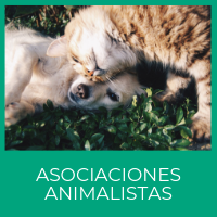 Asociaciones animalistas