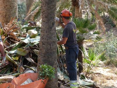 El Ayuntamiento de Salou inicia la restauración ambiental de la finca municipal de Cala Morisca