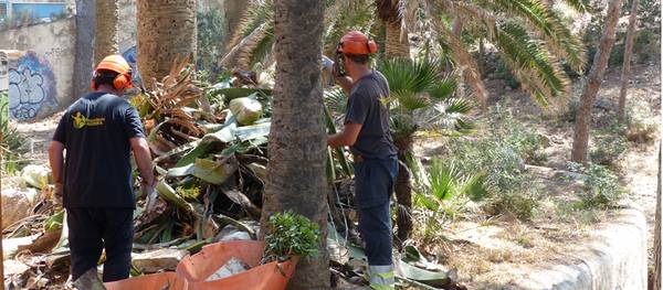 El Ayuntamiento de Salou inicia la restauración ambiental de la finca municipal de Cala Morisca