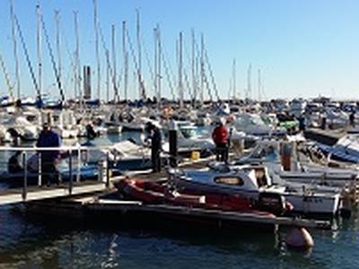 La fiesta del Calamar arranca con un centenar de pescadores en las aguas de Salou