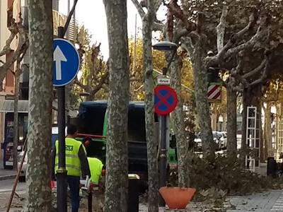 Se inicia la campaña de poda en Salou
