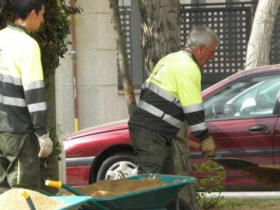 El Ayuntamiento de Salou colocará barreras antiraíces para mejorar la jardinería del sector 01