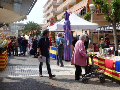 Aplazan la Diada de Sant Jordi, el programa 'Salou Actiu' y el Premi Salou de Recerca Pictòrica