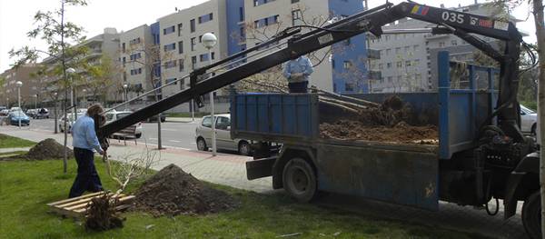 Destinan más de 90.000 euros a la reposición de arbolado en una veintena de calles de Salou