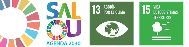 Salou Agenda 2030 - ODS 13, 15.png