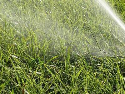 El Ayuntamiento de Salou difunde un bando para informar a la población sobre las medidas obligatorias y la restricción de agua en los usos urbanos